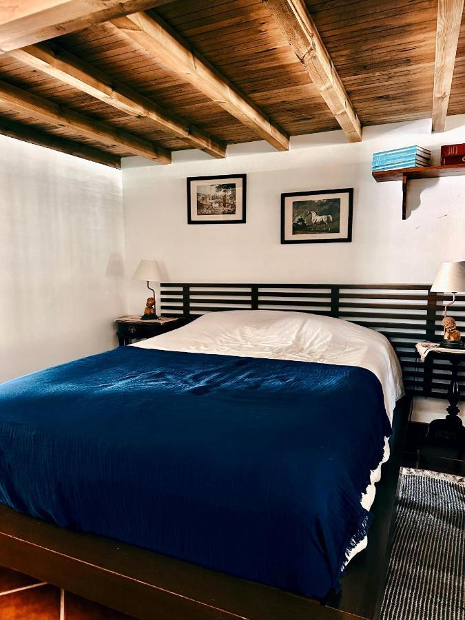 신트라 Casa Girassol With A Beautiful Private Pool And Garden 빌라 외부 사진