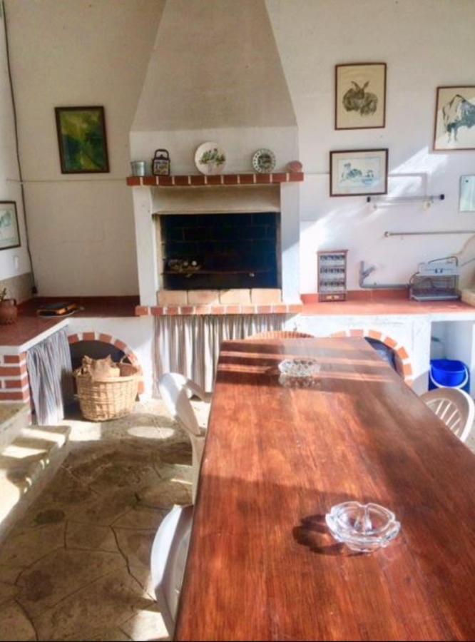 신트라 Casa Girassol With A Beautiful Private Pool And Garden 빌라 외부 사진